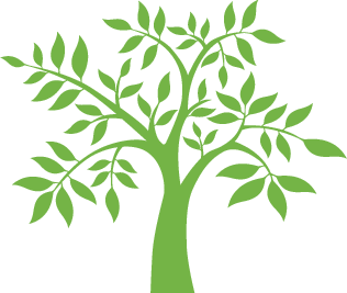 Kiva tree