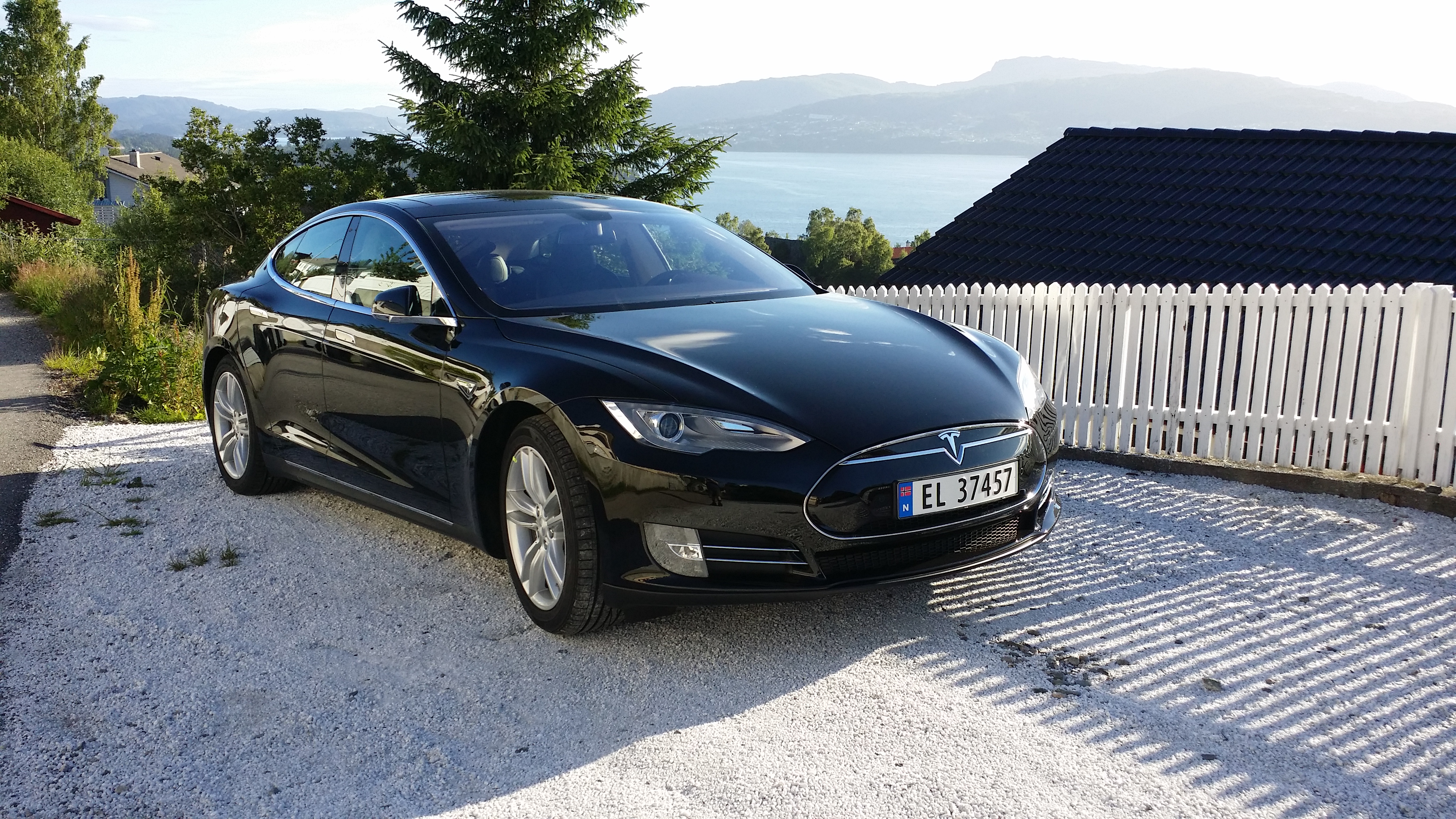 Vår Tesla i hagen